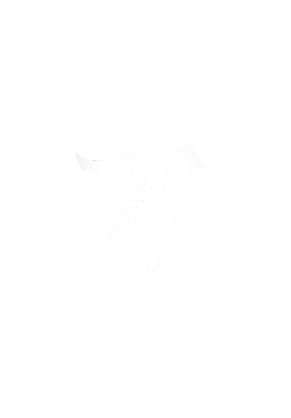 shop.volare 